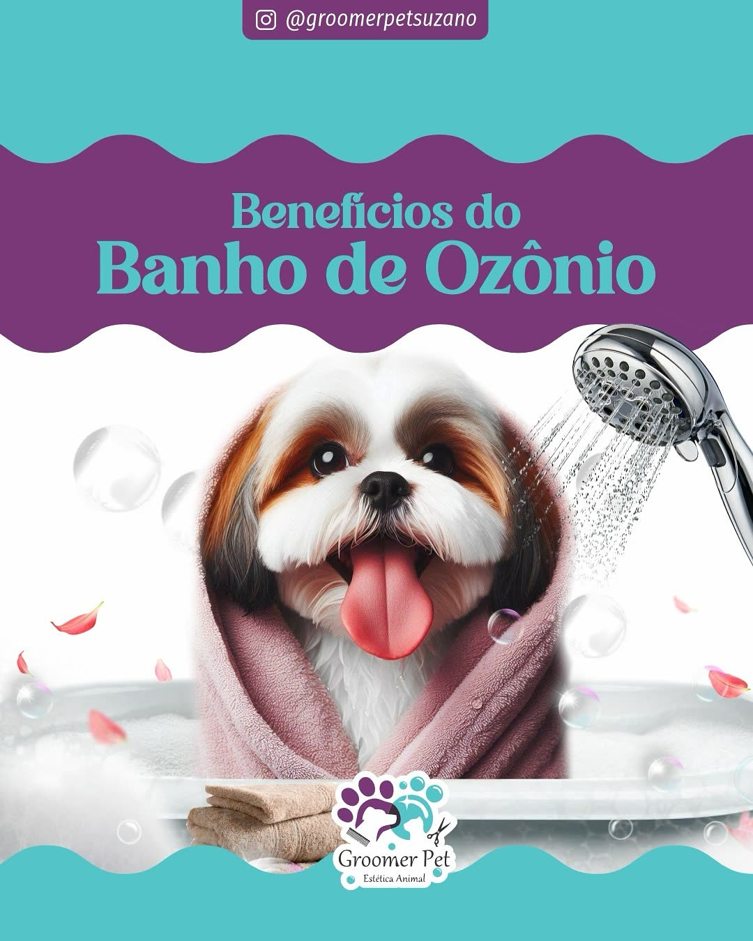 Banho de ozônio para cães em Suzano